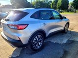 Used 2020 Ford Escape SE Sport image 6
