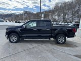 New 2025 Ford F150 XLT w/ Equipment Group 302A MID image 4