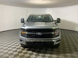 New 2025 Ford F150 XLT w/ Equipment Group 303A High image 2
