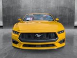 Used 2024 Ford Mustang Premium image 2
