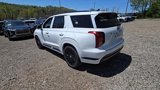 New 2025 Hyundai Palisade Calligraphy image 4