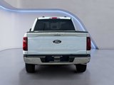 New 2025 Ford F150 XLT image 5