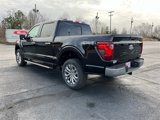 New 2025 Ford F150 XLT image 6