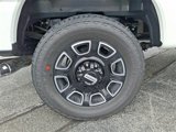 New 2025 Ford F250 Platinum image 5