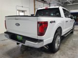 New 2025 Ford F150 XLT w/ Equipment Group 303A High image 5