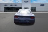 New 2025 Ford Mustang GT Premium image 5
