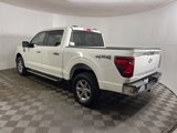 New 2024 Ford F150 XLT w/ Equipment Group 302A MID image 4