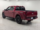 New 2025 Ford F150 STX w/ STX Black Appearance Package image 5