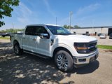 New 2024 Ford F150 XLT w/ Equipment Group 302A MID image 3