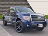 Used 2009 Ford F150 Platinum image 4