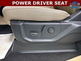 Used 2019 Ford F150 XLT w/ Equipment Group 302A Luxury image 5