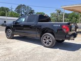 New 2025 Ford F150 STX w/ Equipment Group 200A image 3
