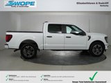 Used 2025 Ford F150 STX w/ Equipment Group 200A image 2