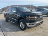 New 2025 Ford F150 XLT w/ Equipment Group 302A MID image 3