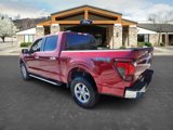 New 2025 Ford F150 XLT w/ Equipment Group 301A Standard image 5