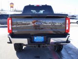 New 2025 Ford F250 XL image 5