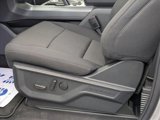 New 2025 Ford F150 XLT w/ Equipment Group 302A MID image 4