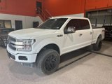 Used 2020 Ford F150 Platinum w/ Equipment Group 701A Luxury image 5