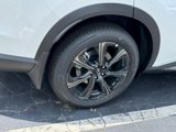 New 2026 INFINITI QX60 Autograph w/ Dark Cargo Package image 4