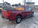 New 2025 Ford F150 XLT w/ Equipment Group 302A MID image 5