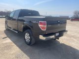 Used 2010 Ford F150 XLT image 2