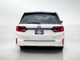 New 2025 Honda Odyssey Elite image 6