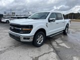 New 2025 Ford F150 XLT w/ Equipment Group 302A MID image 4