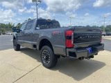 New 2025 Ford F250 Platinum image 4