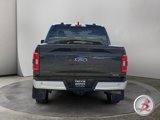 Used 2023 Ford F150 XLT w/ Equipment Group 301A Mid image 6