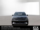 New 2025 Kia Carnival SX image 2