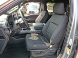 New 2025 Ford F150 XLT w/ Equipment Group 302A MID image 6