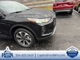 New 2025 Ford Escape Platinum w/ Premium Technology Package image 4