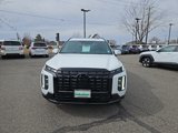 New 2025 Hyundai Palisade Calligraphy image 2