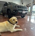 New 2025 RAM 2500 Big Horn image 3