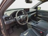 New 2026 Honda Passport TrailSport Elite image 3