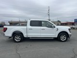 New 2025 Ford F150 XLT w/ Equipment Group 302A MID image 2