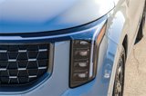 New 2025 Kia Carnival SX Prestige image 5