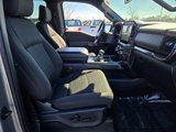 Used 2023 Ford F150 XLT w/ Equipment Group 302A High image 5