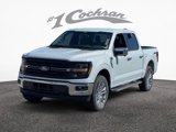 New 2025 Ford F150 XLT w/ Equipment Group 303A High image 3