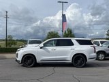 New 2025 Hyundai Palisade Calligraphy image 4