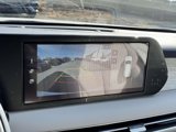New 2025 Hyundai Palisade Calligraphy image 5