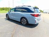 New 2026 Honda Odyssey Elite image 5