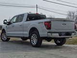 New 2025 Ford F150 XLT w/ Equipment Group 302A MID image 3