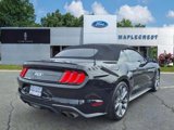 Certified 2021 Ford Mustang GT Premium w/ Equipment Group 401A image 4