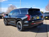 New 2025 Hyundai Palisade Calligraphy image 3