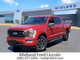 Certified 2022 Ford F150 XLT w/ Equipment Group 302A High image 1