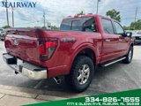 Used 2024 Ford F150 XLT w/ Equipment Group 302A MID image 6
