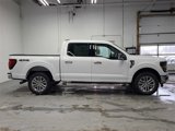New 2025 Ford F150 XLT w/ Equipment Group 302A MID image 4