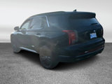 New 2025 Hyundai Palisade Calligraphy image 5
