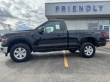 New 2025 Ford F150 XL w/ Equipment Group 103A High image 3